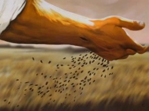 Sowing Seeds