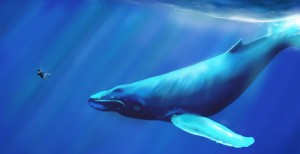 whale jonah